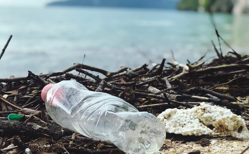 12-year-old’s Edible ‘Eco-Hero’ Bottle Aims to Solve Plastic Waste Problem